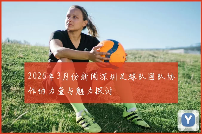 2026年3月份新闻深圳足球队团队协作的力量与魅力探讨