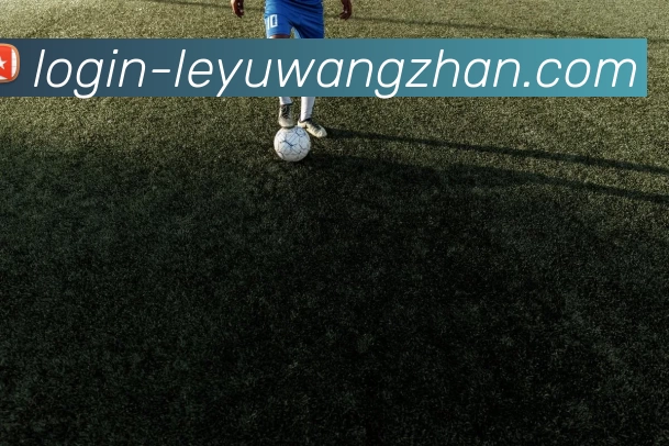 乐鱼官网入口发展历程